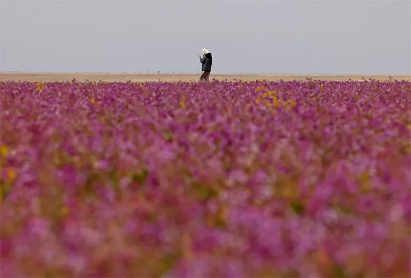 مدار الساعة,أخبار عربية ودولية