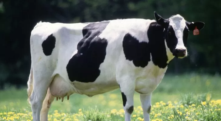 مدار الساعة,أخبار الأردن,اخبار الاردن,وزارة الزراعة