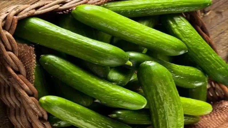 مدار الساعة,أخبار اقتصادية,أمانة عمان الكبرى