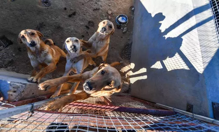 مدار الساعة,Video,فيديو,أخبار الأردن,اخبار الاردن