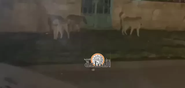 مدار الساعة,Video,فيديو,أخبار الأردن,اخبار الاردن