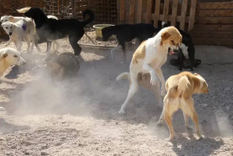 مدار الساعة,أخبار الأردن,اخبار الاردن