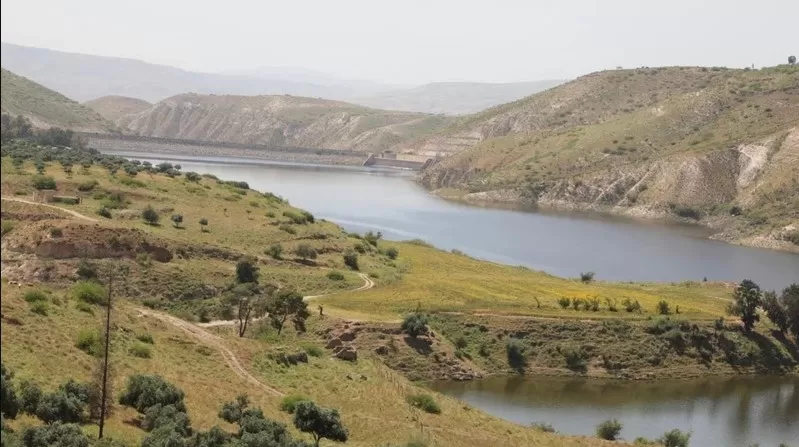 مدار الساعة,أخبار الأردن,اخبار الاردن,وزارة المياه والري,سلطة وادي الأردن,وزارة المياه,وادي الأردن