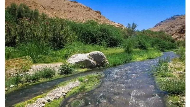مدار الساعة,أخبار الأردن,اخبار الاردن,وزارة السياحة,البحر الميت