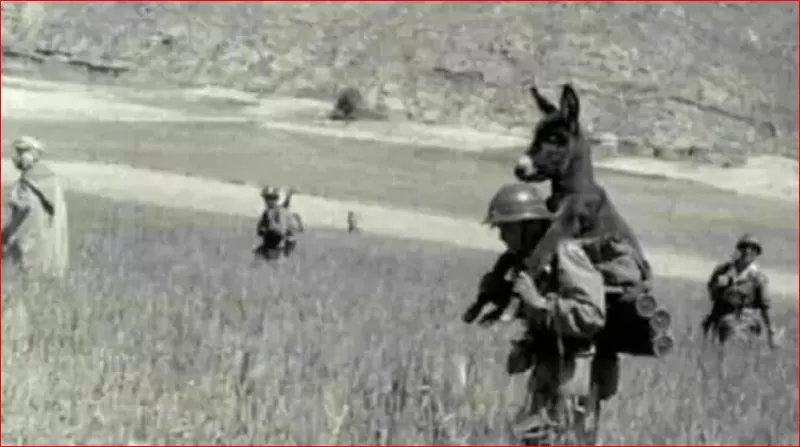 مدار الساعة,أخبار خفيفة ومنوعة,مواقع التواصل الاجتماعي