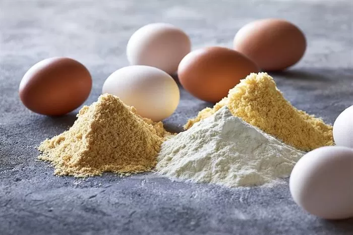 مدار الساعة,أخبار الأسرة
