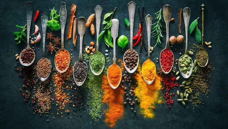 مدار الساعة,أخبار الأسرة