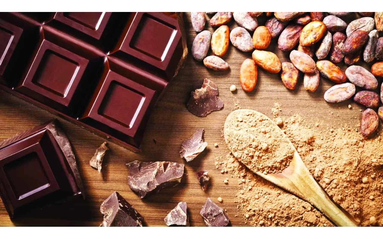 مدار الساعة,أخبار الأسرة