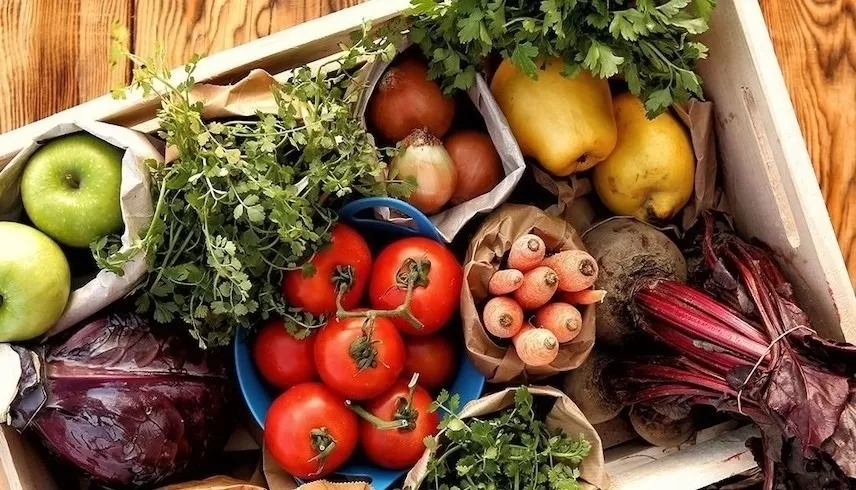 مدار الساعة,أخبار الأسرة