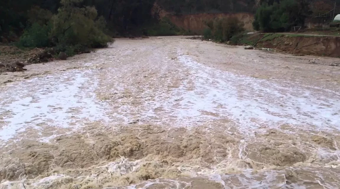 مدار الساعة,أخبار الأردن,اخبار الاردن,الحالة الجوية,سلطة وادي الأردن,وادي الأردن