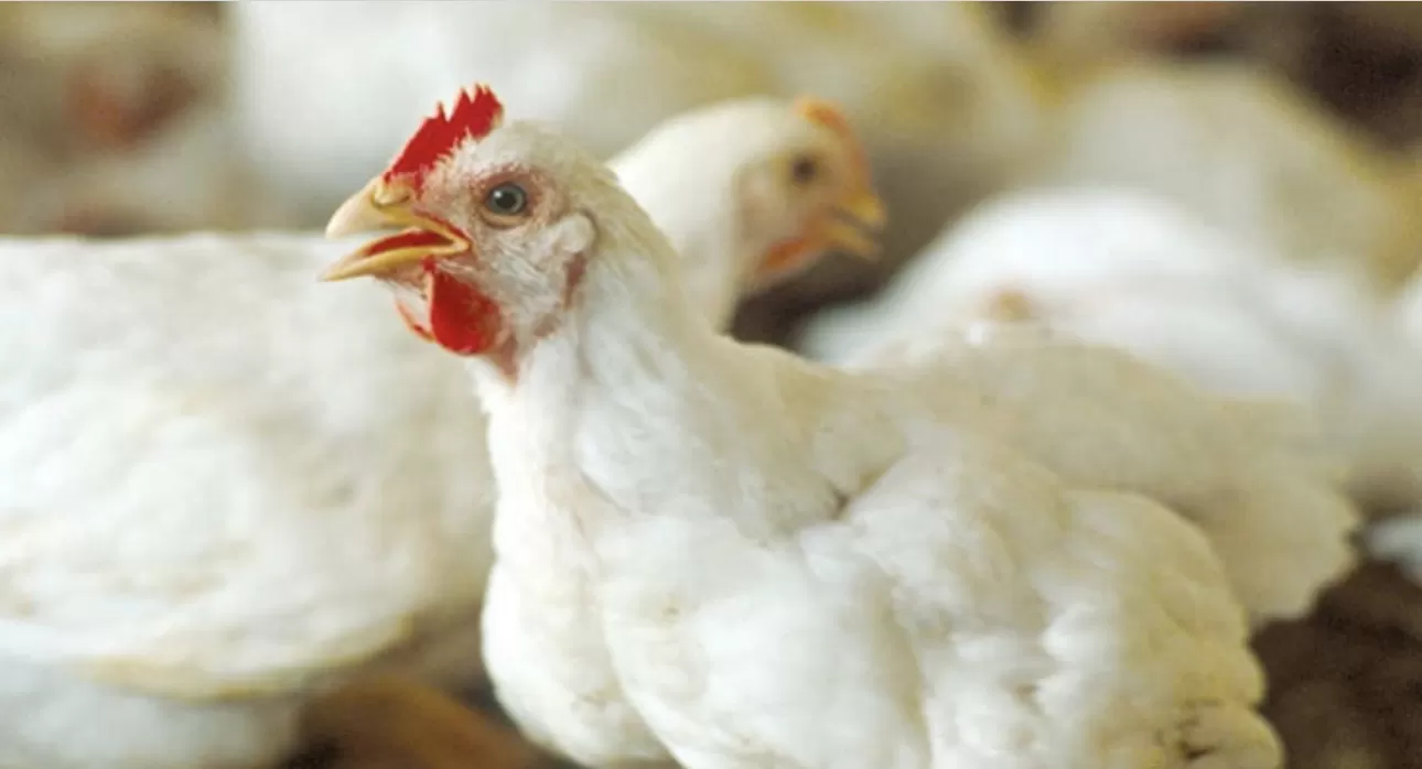 مدار الساعة,أخبار الأردن,اخبار الاردن,وزير الصناعة والتجارة والتموين,وزير العمل,وزارة الصناعة والتجارة,وزارة الصناعة