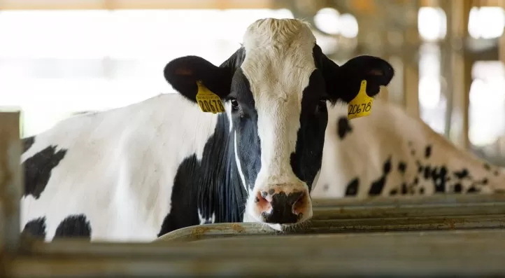 مدار الساعة,أخبار الأردن,اخبار الاردن,المركز الوطني لمكافحة الأوبئة,وزارة الزراعة