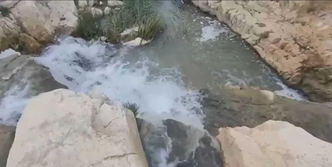 مدار الساعة,Video,فيديو,أخبار الأردن,اخبار الاردن