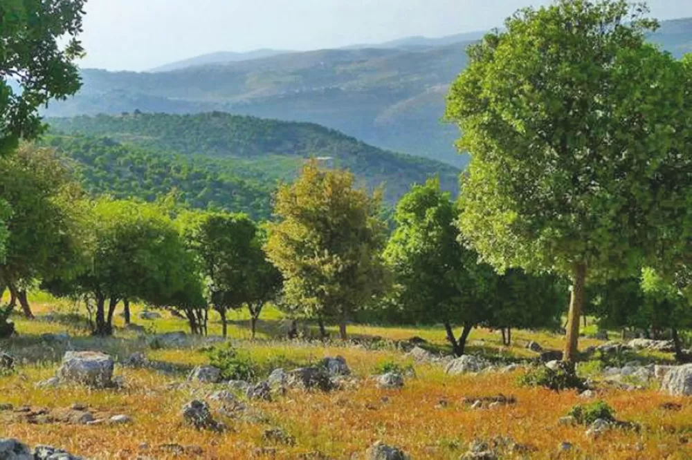 مدار الساعة,الطقس في الأردن اليوم,طقس الأردن,طقس العرب,طقس العرب الاردن,درجات الحرارة العظمى والصغرى,درجات الحرارة,الأرصاد الجوية,البحر الميت