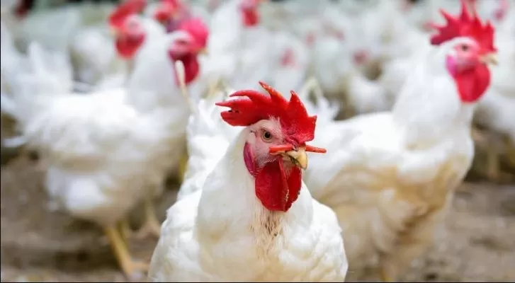 مدار الساعة,أخبار الأردن,اخبار الاردن,وزير العمل