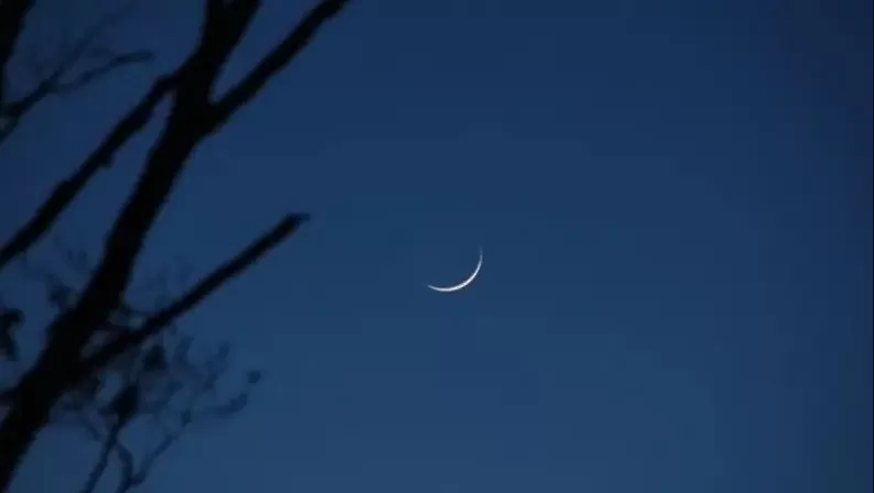 مدار الساعة,أخبار خفيفة ومنوعة,عيد الفطر