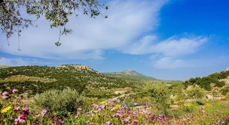 مدار الساعة,أخبار الأردن,اخبار الاردن,الحالة الجوية,وزارة النقل,الأرصاد الجوية,درجات الحرارة,البحر الميت