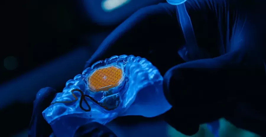 مدار الساعة,أخبار خفيفة ومنوعة