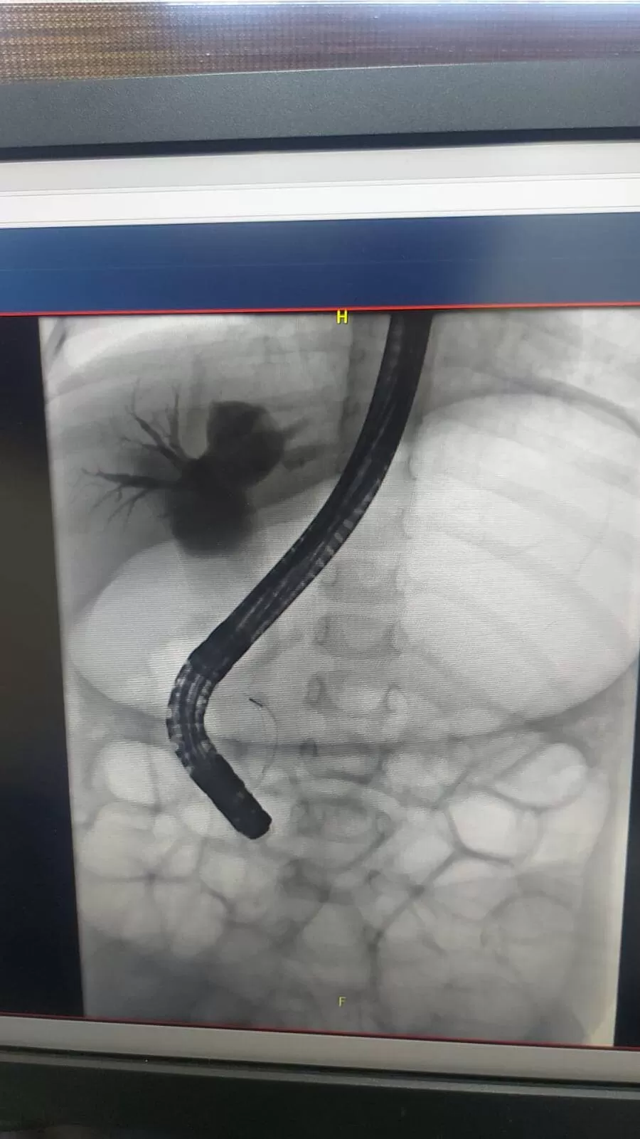 مدار الساعة,أخبار الأردن,اخبار الاردن,الخدمات الطبية الملكية,مدينة الحسين الطبية