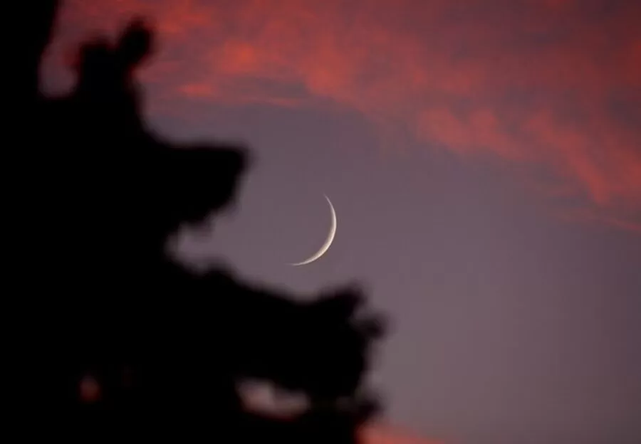 مدار الساعة,أخبار الأردن,اخبار الاردن,مفتي عام المملكة,#تقويم_هجري #ذي_القعدة #مفتي_المملكة