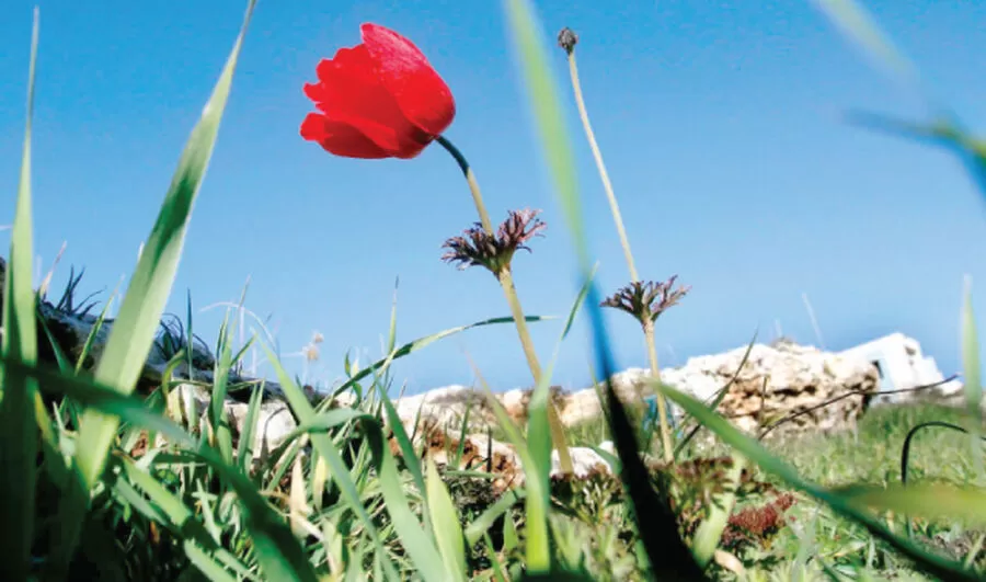 مدار الساعة,الطقس في الأردن اليوم,طقس الأردن,طقس العرب,طقس العرب الاردن,درجات الحرارة العظمى والصغرى,درجات الحرارة,الأرصاد الجوية,البحر الميت,#الطقس_اليوم #درجات_الحرارة #الأجواء_الربيعية