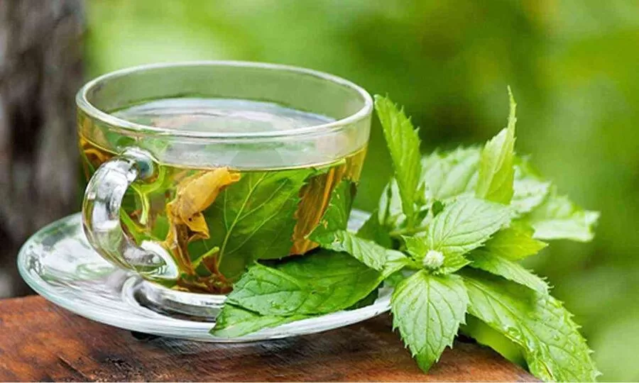 مدار الساعة,أخبار خفيفة ومنوعة,#الوقاية_من_أمراض_القلب #الأعشاب_المفيدة_للقلب #التغذية_السليمة_لصحة_القلب