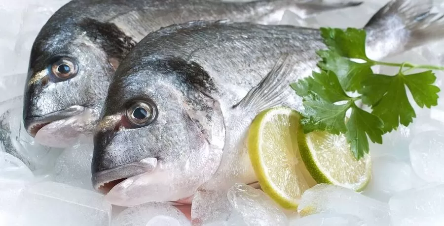 مدار الساعة,أخبار الأردن,اخبار الاردن,المؤسسة العامة للغذاء والدواء,وزارة الزراعة