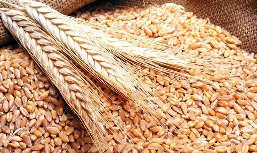 مدار الساعة,أخبار اقتصادية,وزير الزراعة,المدن الصناعية,#التسويق_الزراعي #القطاع_الزراعي #الأمن_الغذائي