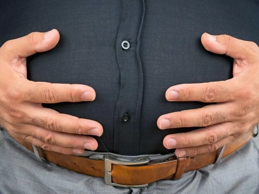 مدار الساعة,أخبار الأردن,اخبار الاردن,الجامعة الأردنية,#السمنة_في_الأردن #تنظيم_الغذاء #الحاجة_الفعلية_للطعام