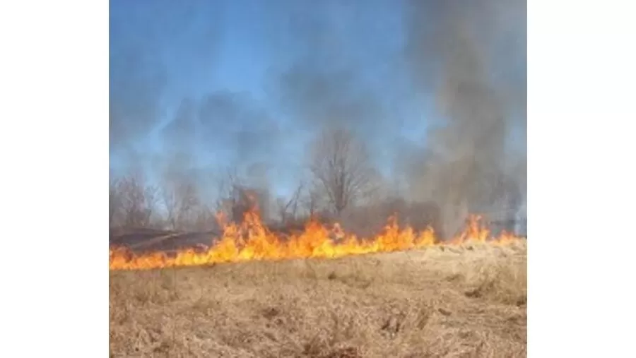 مدار الساعة,أخبار الأردن,اخبار الاردن,الدفاع المدني,#الدفاع_المدني #حرائق_المحاصيل #إربد_الأردنية