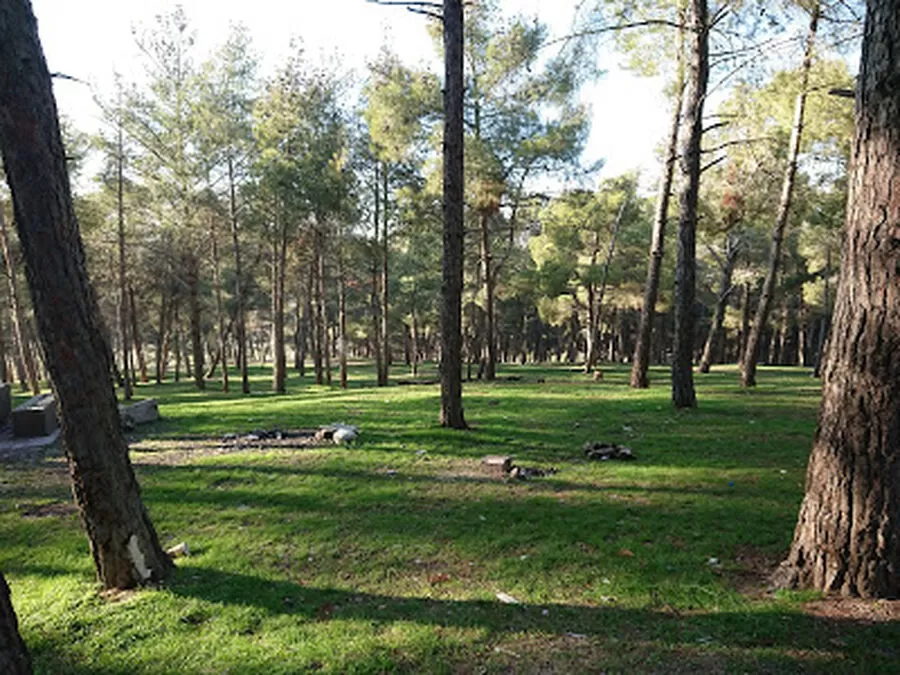 مدار الساعة,أخبار الأردن,اخبار الاردن,منظمة الصحة العالمية