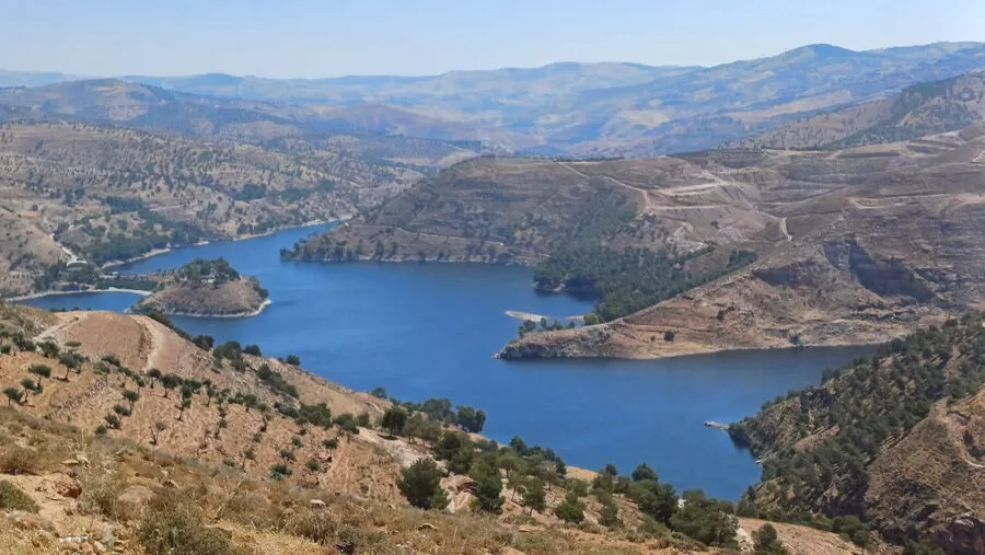 مدار الساعة,أخبار الأردن,اخبار الاردن,سلطة وادي الأردن,وزارة المياه والري,وادي الأردن,وزارة المياه,#سدود_الأودية_الجنوبية #بناء_السدود #دراسات_تفصيلية_للسدود