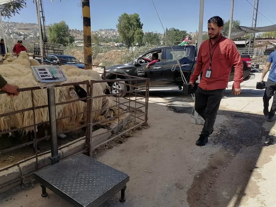 مدار الساعة,أخبار الأردن,اخبار الاردن,مؤسسة المواصفات والمقاييس,المواصفات والمقاييس,عيد الأضحى,#مواصفات_ومقاييس #رقابة_الأضاحي #خطة_تفتيشية_للعيد