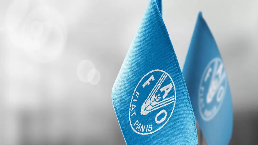 مدار الساعة,أخبار الأردن,اخبار الاردن,وزير الزراعة,1. #مؤتمر_الفاو,2. #الأغذية_والزراعة,3. #الموارد_المائية