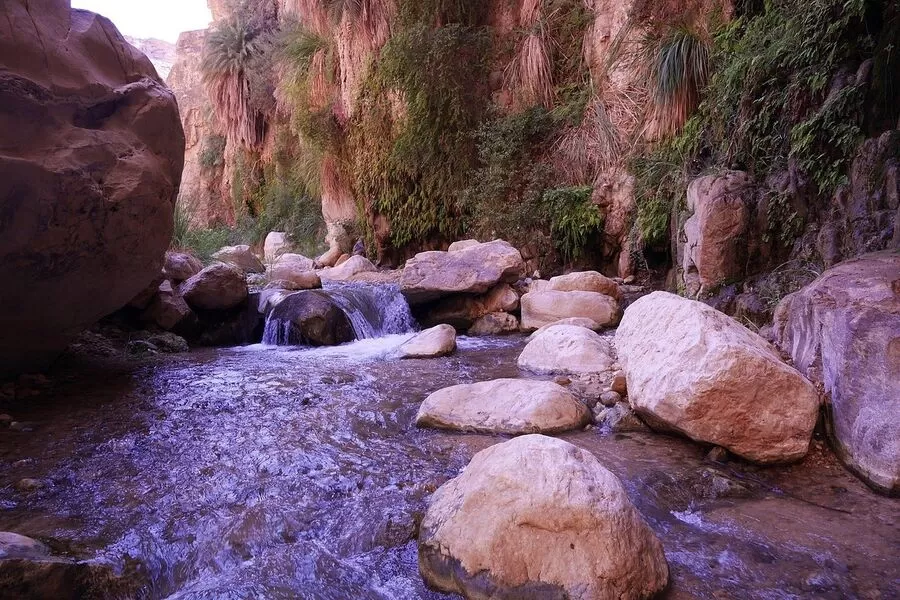 مدار الساعة,أخبار السياحة في الأردن,وكالة الأنباء الأردنية,#الكرك_السياحية,#الغابات_والأودية_المائية,#المناظر_الطبيعية_الخلابة