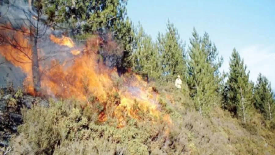 مدار الساعة,أخبار الأردن,اخبار الاردن,وزير الزراعة,خالد حنيفات,الدفاع المدني,القوات المسلحة,درجات الحرارة