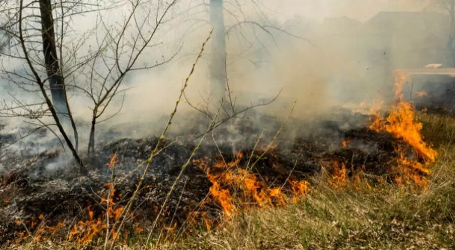 مدار الساعة,أخبار الأردن,اخبار الاردن,الدفاع المدني,سلاح الجو الملكي,1. #حرائق_الغابات,2. #الدفاع_المدني,3. #سلاح_الجو_الملكي