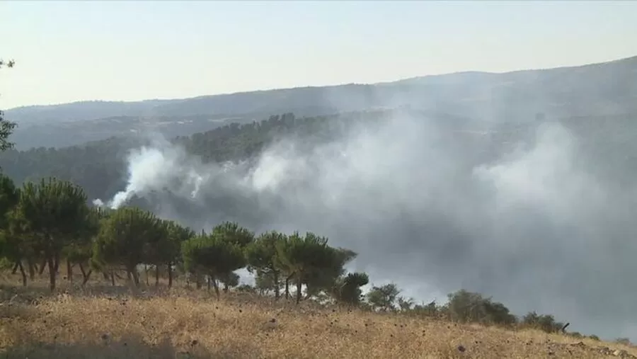 مدار الساعة,أخبار الأردن,اخبار الاردن,وزارة الزراعة,درجات الحرارة,الأرصاد الجوية,البحر الميت,1. #الحرائق_الغاباتية,2. #التغير_المناخي,3. #السلوكيات_الخاطئة