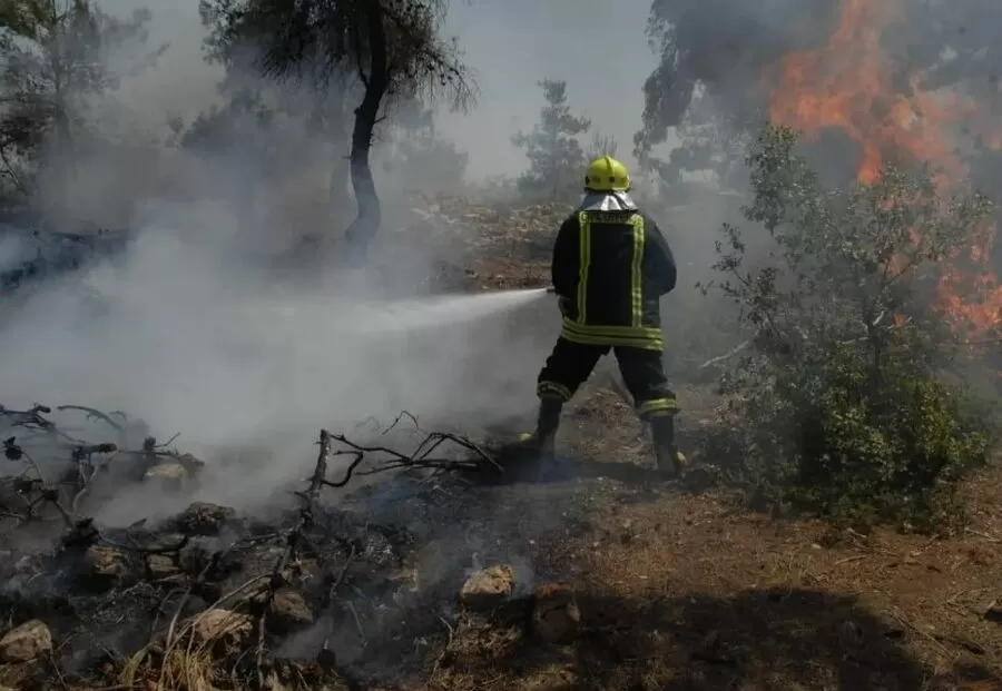 مدار الساعة,أخبار الأردن,اخبار الاردن,وزارة الزراعة,وزارة البيئة,الدفاع المدني,1. #حرائق_الغابات,2. #السيطرة_على_الحرائق,3. #التسبب_بالحرائق