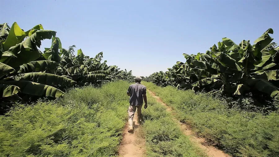 مدار الساعة,أخبار الأردن,اخبار الاردن,المركز الوطني للبحوث الزراعية,البحوث الزراعية,المملكة العربية السعودية,التنمية المستدامة,1. #المياه_في_الأردن,2. #الاستدامة_المائية,3. #التحديات_المائية