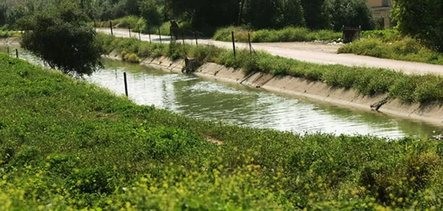 مدار الساعة,أخبار الأردن,اخبار الاردن,سلطة وادي الأردن,وادي الأردن,الإدارة الملكية لحماية البيئة,البحر الميت,1. #حماية_المصادر_المائية,2. #وقف_اعتداءات_قناة_الملك_عبدالله,3. #تأمين_حقوق_المزارعين