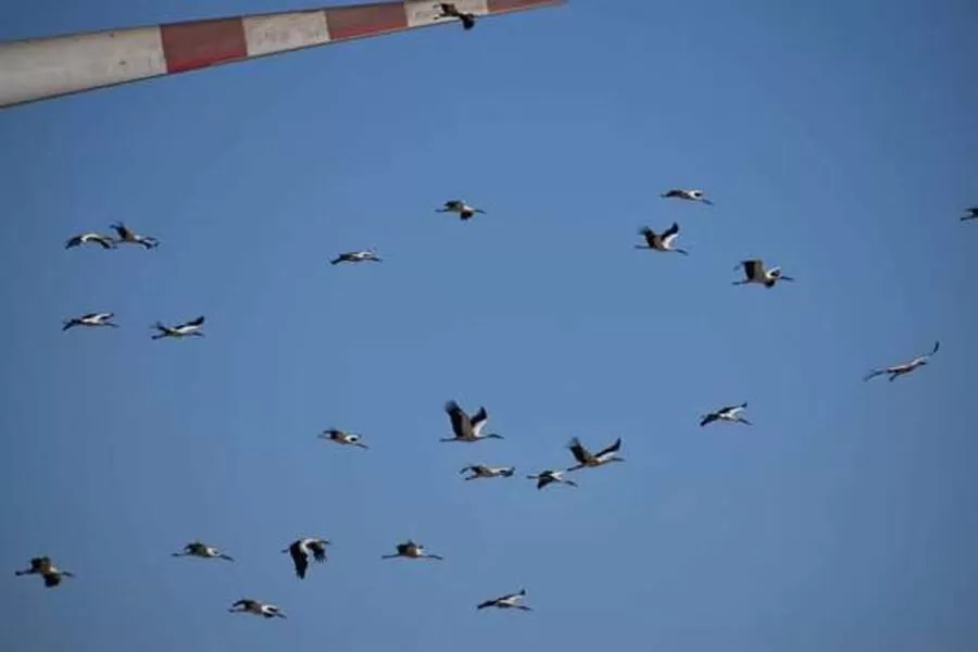 مدار الساعة,أخبار الأردن,اخبار الاردن,وزارة البيئة,الأمم المتحدة