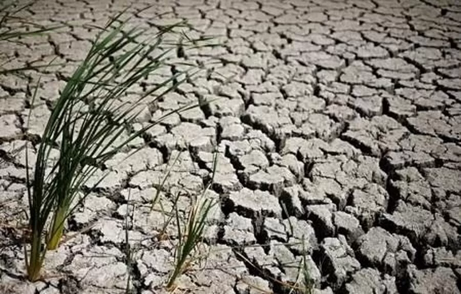 مدار الساعة,أخبار الأردن,اخبار الاردن