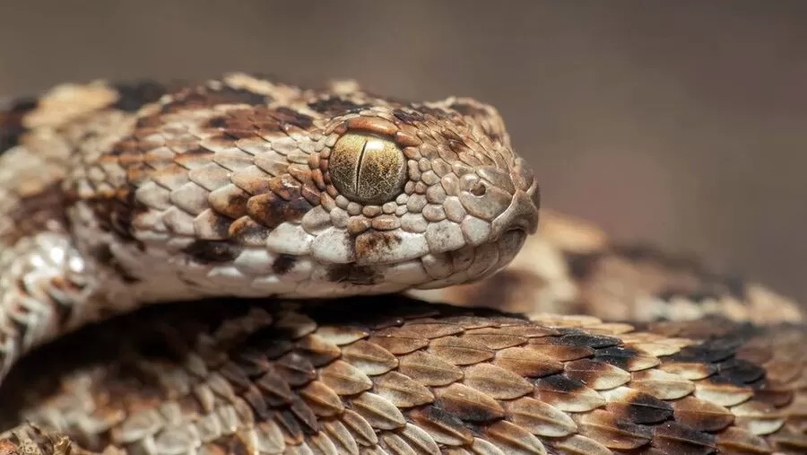مدار الساعة,أخبار الأردن,اخبار الاردن,الدفاع المدني
