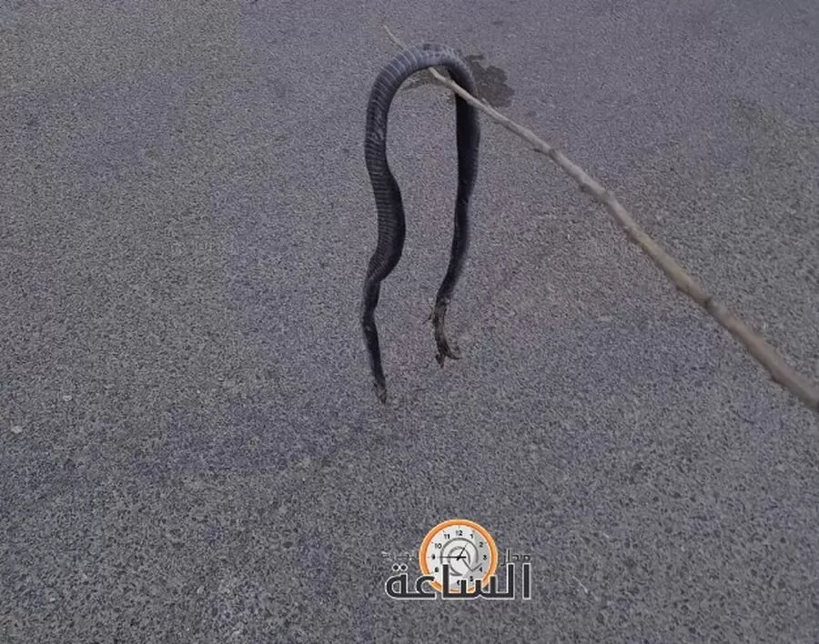 مدار الساعة,أخبار الأردن,اخبار الاردن,وادي الأردن