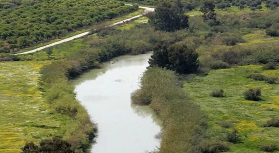 مدار الساعة,أخبار اقتصادية,الحسين بن طلال,وزارة الزراعة,وادي الأردن,وزارة المياه,منظمة الصحة العالمية,البحر الميت