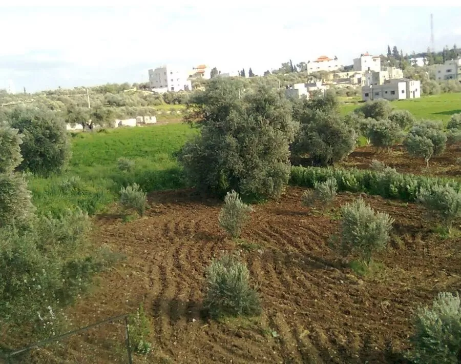 مدار الساعة,أخبار الأردن,اخبار الاردن