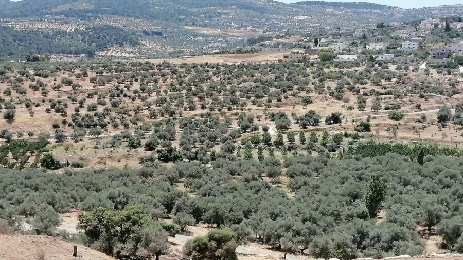 مدار الساعة,أخبار الأردن,اخبار الاردن,ولي العهد,وزارة الداخلية,التنمية الاجتماعية,جامعة البلقاء التطبيقية,مستشفى جرش