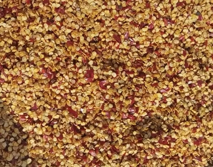 مدار الساعة,أخبار الأردن,اخبار الاردن