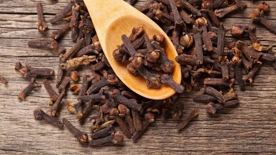 مدار الساعة,أخبار الأسرة